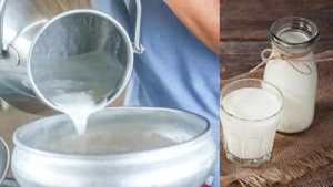 Raw Milk Dangers: Experts Warn of Foodborne Illness, Bacterial Risks, and Vulnerable Populations