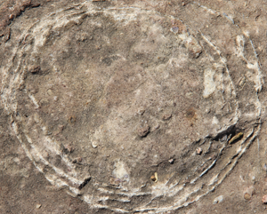 Headline:
India's Largest Dinosaur Hatchery Unearthed: Sacred Stones Revealed as 70-Million-Year-Old Titanosaur Eggs