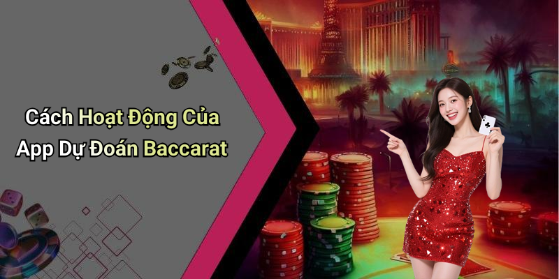 Cách Hoạt Động Của App Dự Đoán Baccarat